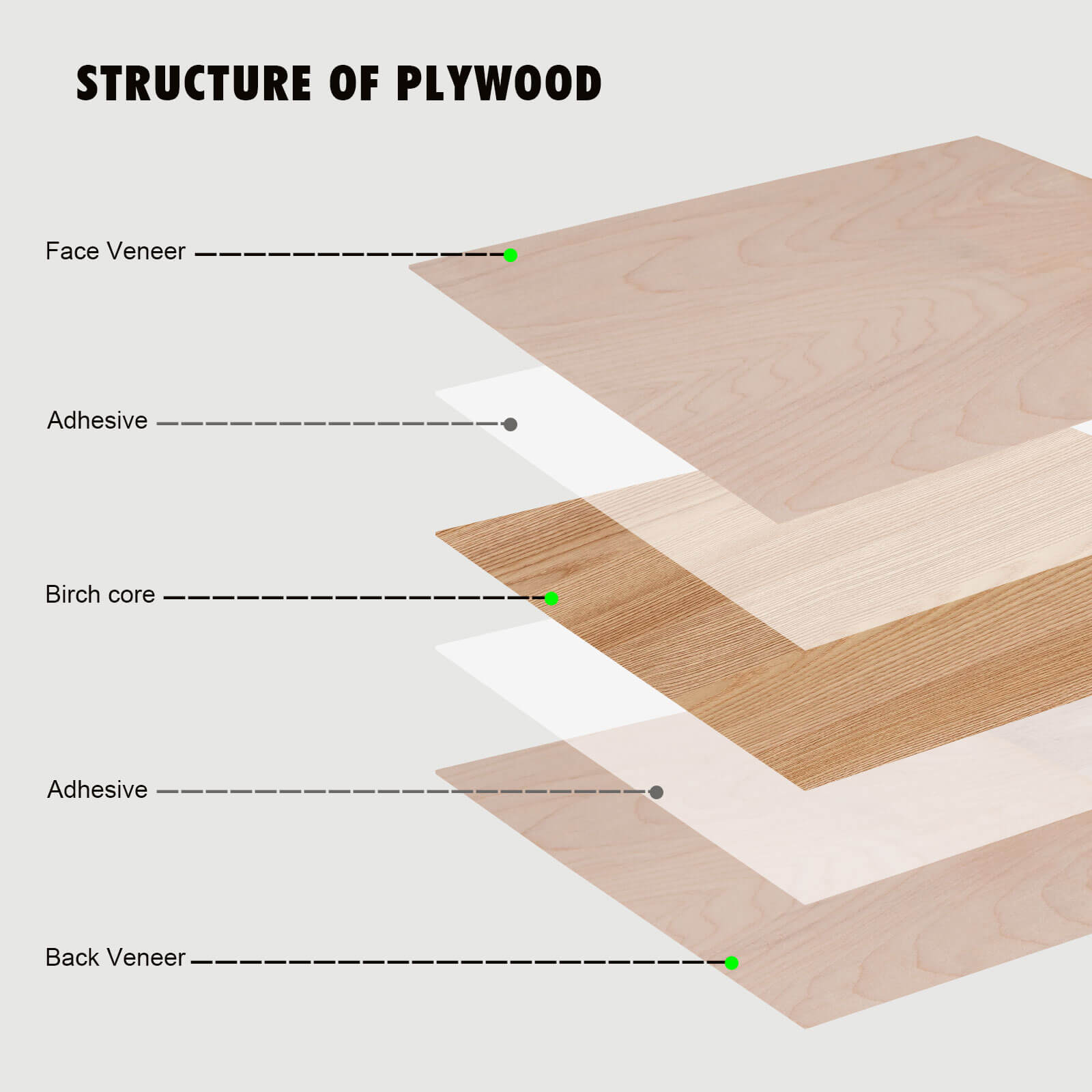 Monport Selected Birch Plywood for Laser Engravers and Cutters DIY Crafting - Image 3