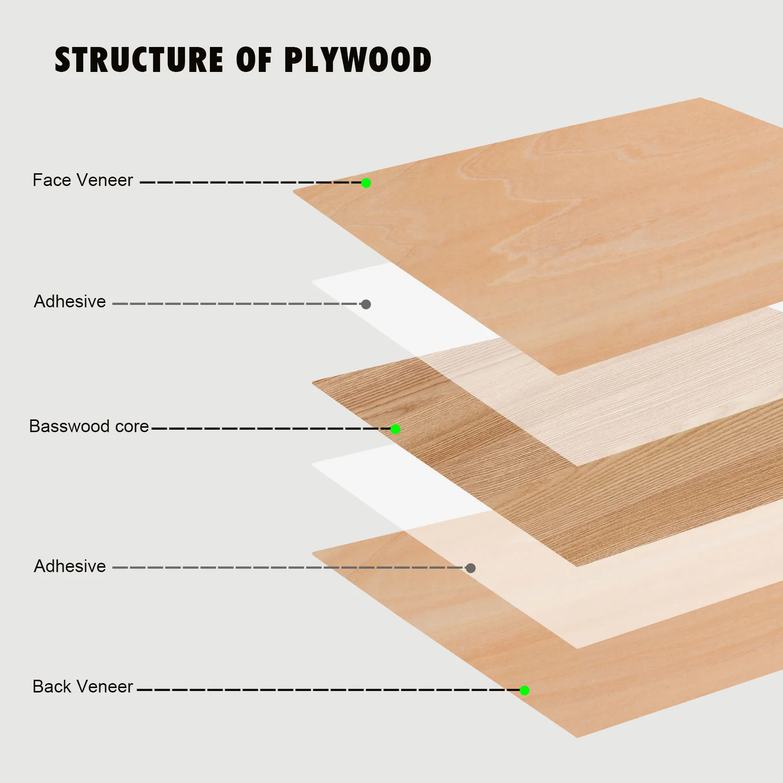 Monport Selected Basswood  Plywood for Laser Engravers and Cutters DIY Crafting - Image 3